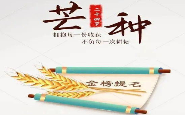 今日芒种丨环城智慧预祝万千学子金榜题名！